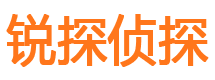 揭东市调查公司